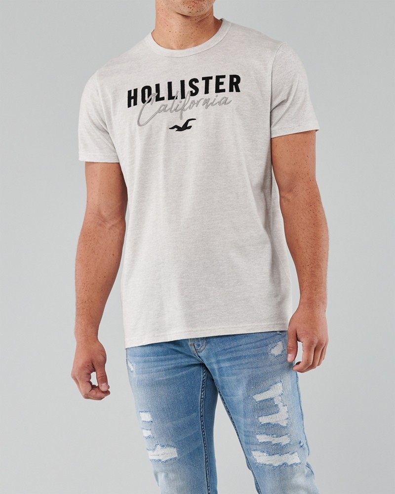 Hình Áo thun nam Hollister HCO-US-T17 Applique Logo Graphic Tee