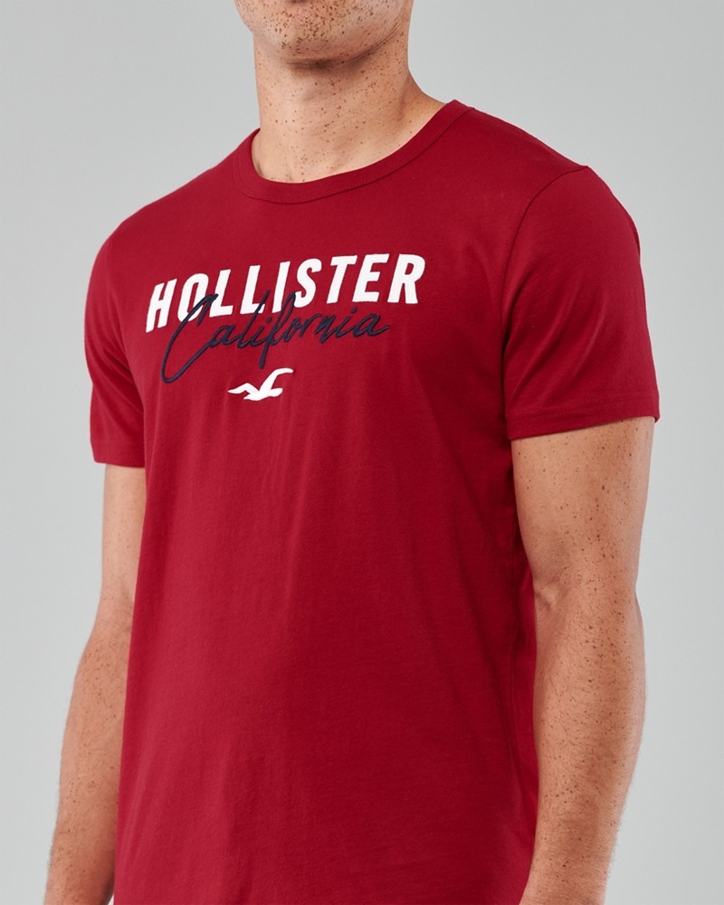 Hình Áo thun nam Hollister HCO-US-T19 Embroidered Logo Graphic Tee