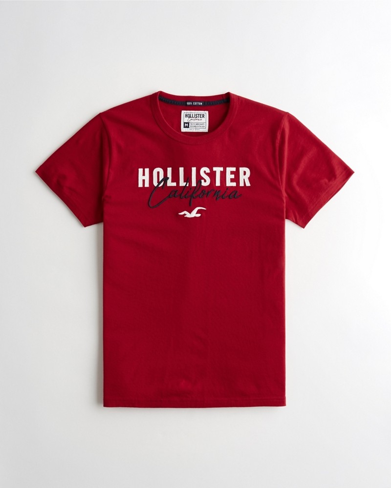 Hình Áo thun nam Hollister HCO-US-T19 Embroidered Logo Graphic Tee