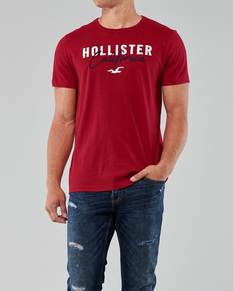 Hình Áo thun nam Hollister HCO-US-T19 Embroidered Logo Graphic Tee