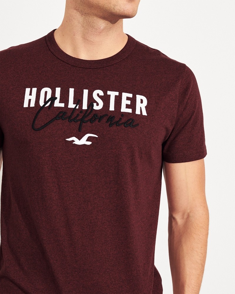 Hình Áo thun nam Hollister HCO-US-T20 Embroidered Logo Graphic Tee