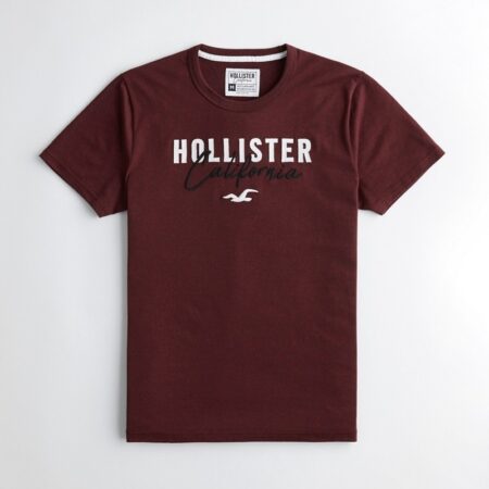 Hình Áo thun nam Hollister HCO-US-T20 Embroidered Logo Graphic Tee