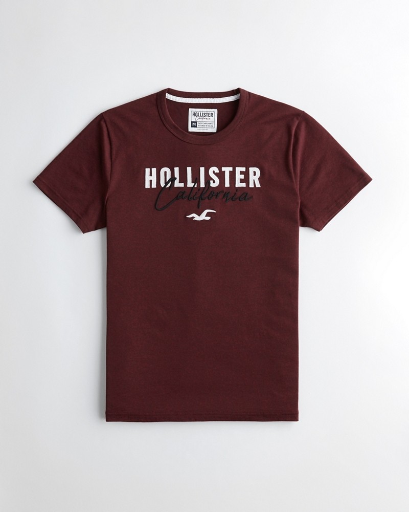 Hình Áo thun nam Hollister HCO-US-T20 Embroidered Logo Graphic Tee