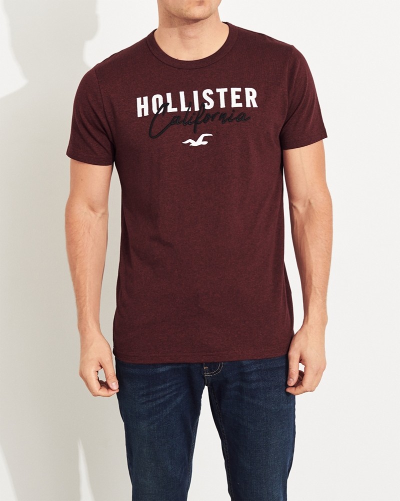 Hình Áo thun nam Hollister HCO-US-T20 Embroidered Logo Graphic Tee