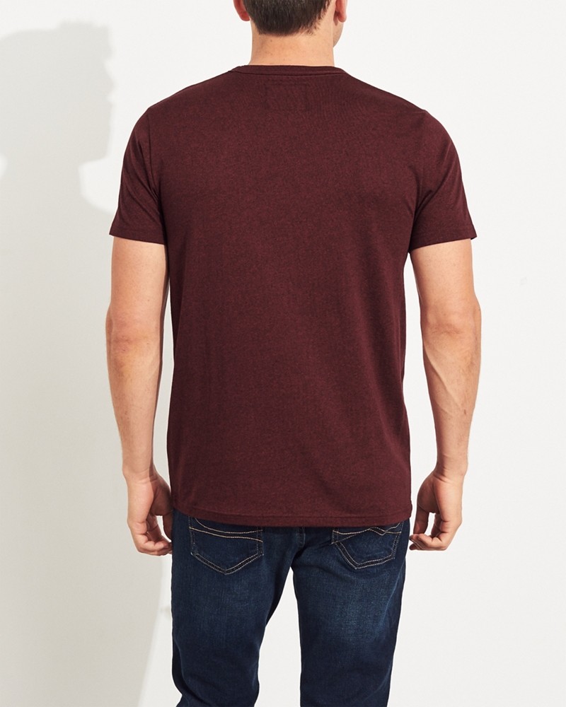 Hình Áo thun nam Hollister HCO-US-T20 Embroidered Logo Graphic Tee