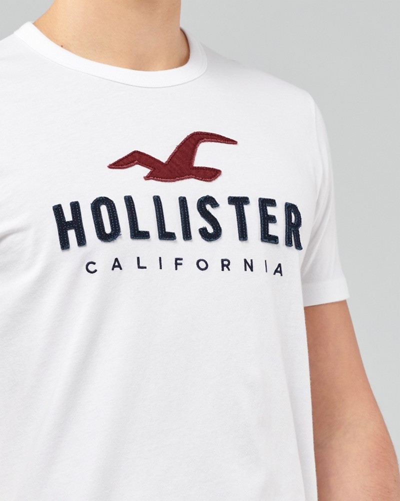 Hình Áo thun nam Hollister HCO-US-T21 Applique Logo Graphic Tee