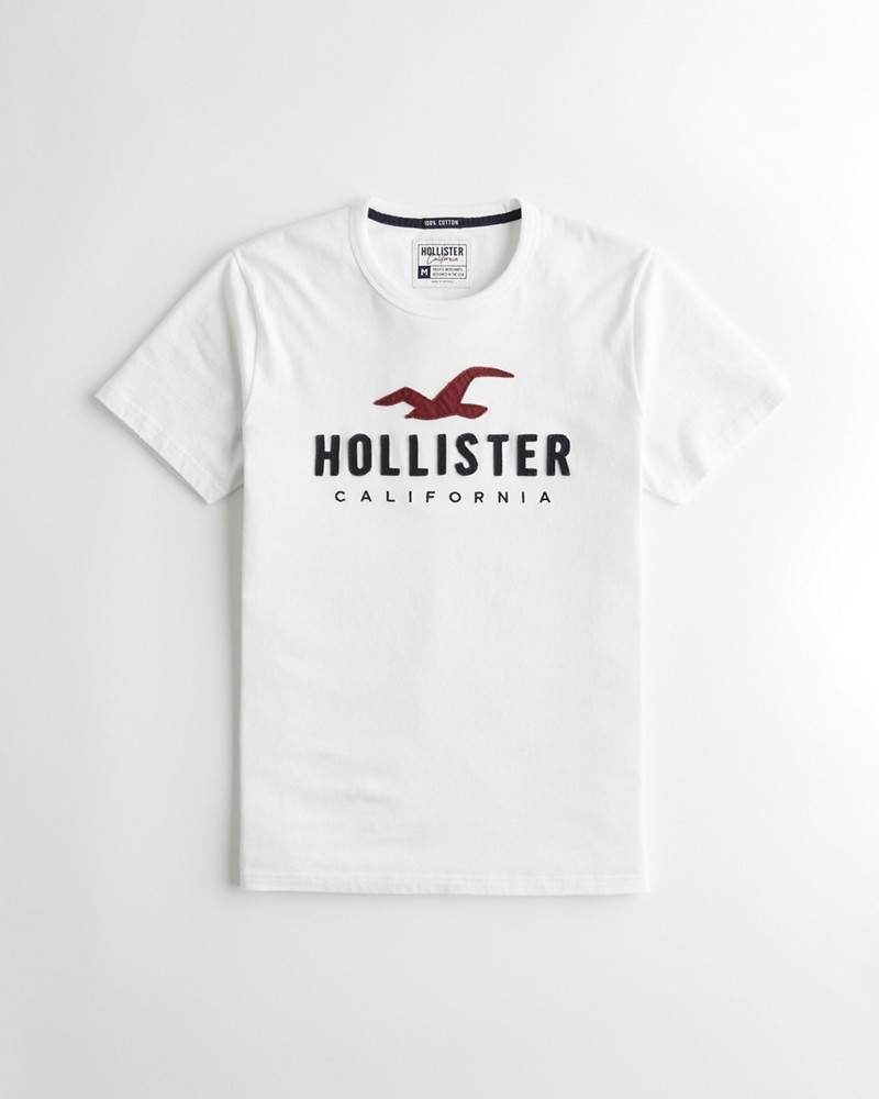 Hình Áo thun nam Hollister HCO-US-T21 Applique Logo Graphic Tee