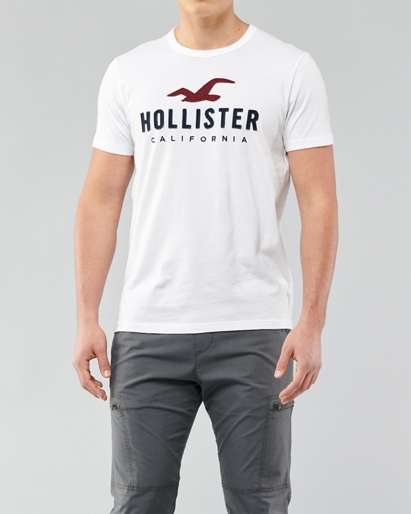 Hình Áo thun nam Hollister HCO-US-T21 Applique Logo Graphic Tee