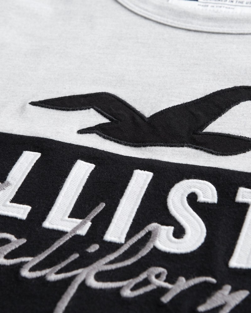 Hollister colorblock logo graphic tee hotsell