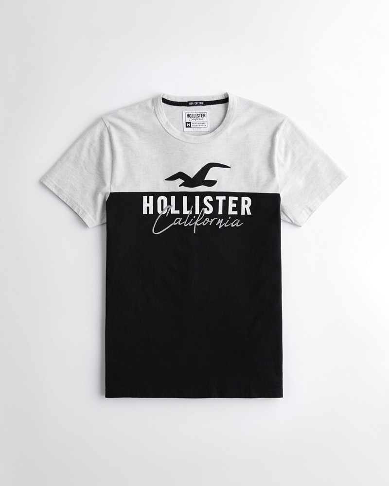 Hollister colorblock discount logo graphic tee
