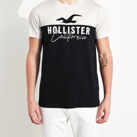 Hình Áo thun nam Hollister HCO-US-T25 Colorblock Logo Graphic Tee