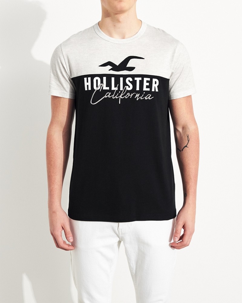 Hình Áo thun nam Hollister HCO-US-T25 Colorblock Logo Graphic Tee