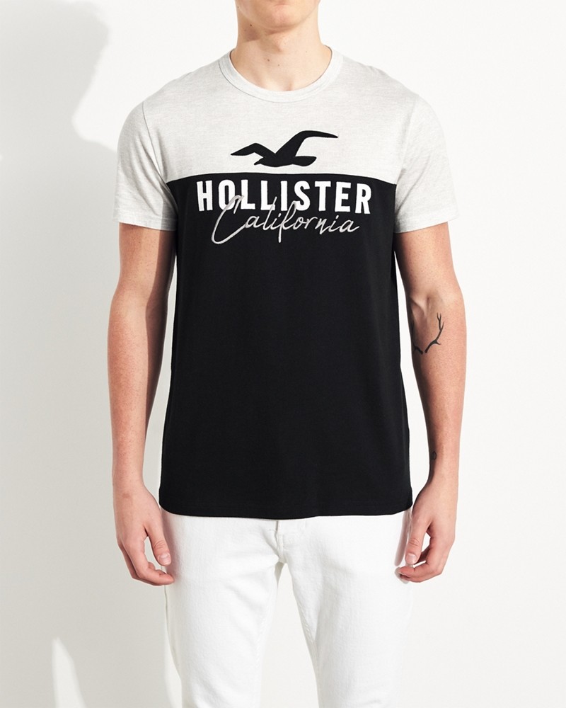 Ao thun nam Hollister HCO US T25 Colorblock Logo Graphic Tee
