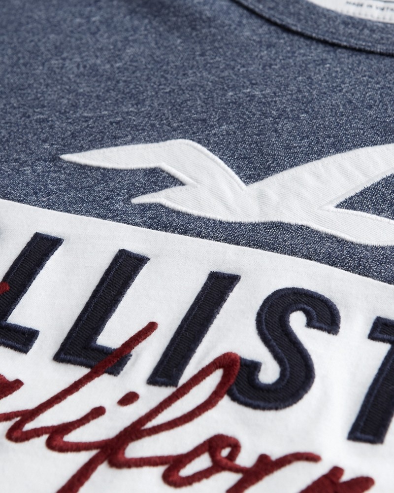 Ao thun nam Hollister HCO US T26 Colorblock Logo Graphic Tee