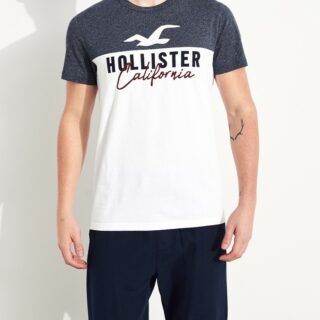 Hình Áo thun nam Hollister HCO-US-T26 Colorblock Logo Graphic Tee