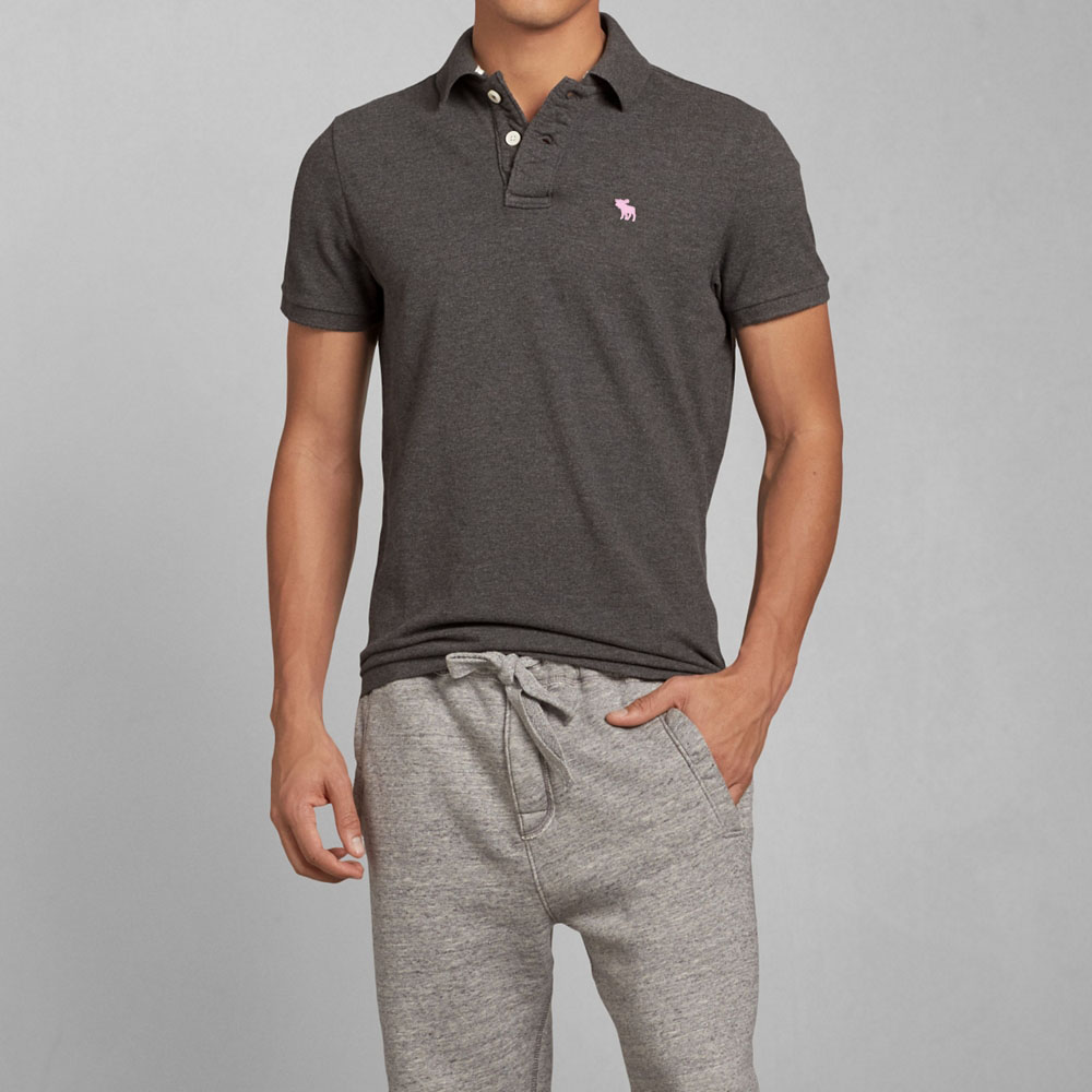 Hình Áo thun polo Abercrombie Fitch AF-P123 Stretch Icon Polo Grey