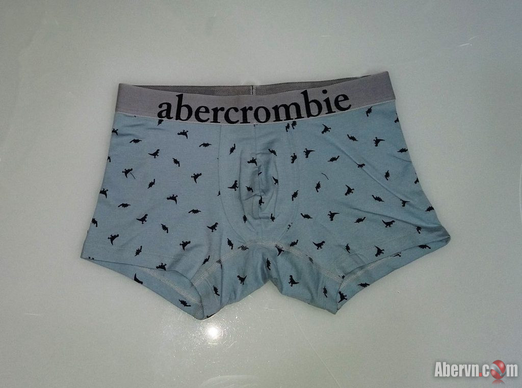 Hình Quần lót nam Abercrombie AF-UD18 Classic Trunk Light Blue Pattern
