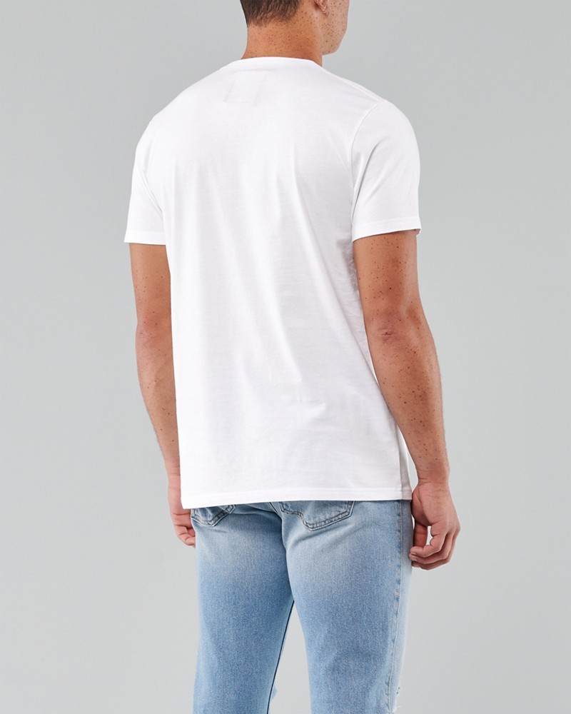 Hình Áo thun nam Hollister HCO-US-T27 Embroidered Logo Graphic Tee