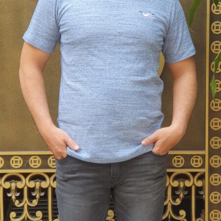 Áo thun nam Hollister HCO-T170 Icon Color Crewneck T-Shirt xám xanh