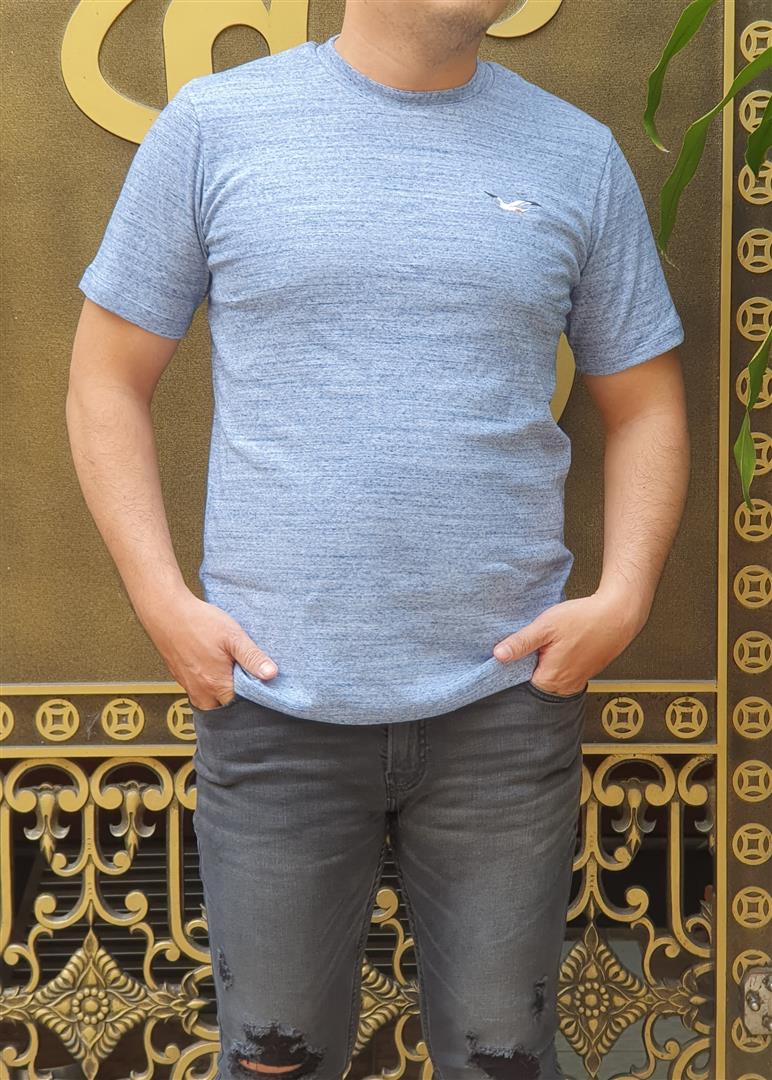 Áo thun nam Hollister HCO-T170 Icon Color Crewneck T-Shirt xám xanh