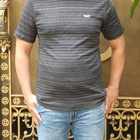 Áo thun nam Hollister HCO-T172 Icon Color Crewneck T-Shirt Black