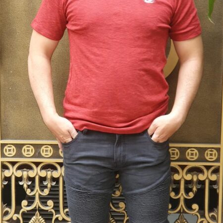 Áo thun nam Hollister HCO-T173 Icon Color Crewneck T-Shirt Heather Red
