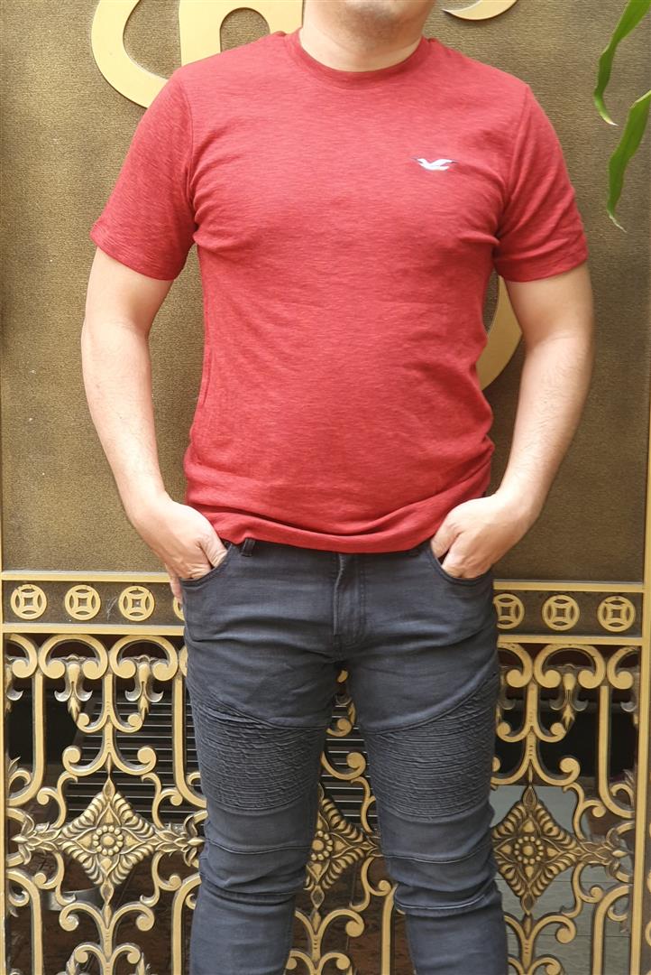 Áo thun nam Hollister HCO-T173 Icon Color Crewneck T-Shirt Heather Red