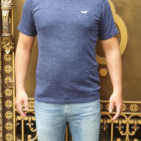 Áo thun nam Hollister HCO-T175 Icon Color Crewneck T-Shirt Heather Dark Blue