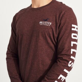 Hình Áo thun nam tay dài Hollister HCO-HL104 Logo Graphic Tee Burgundy