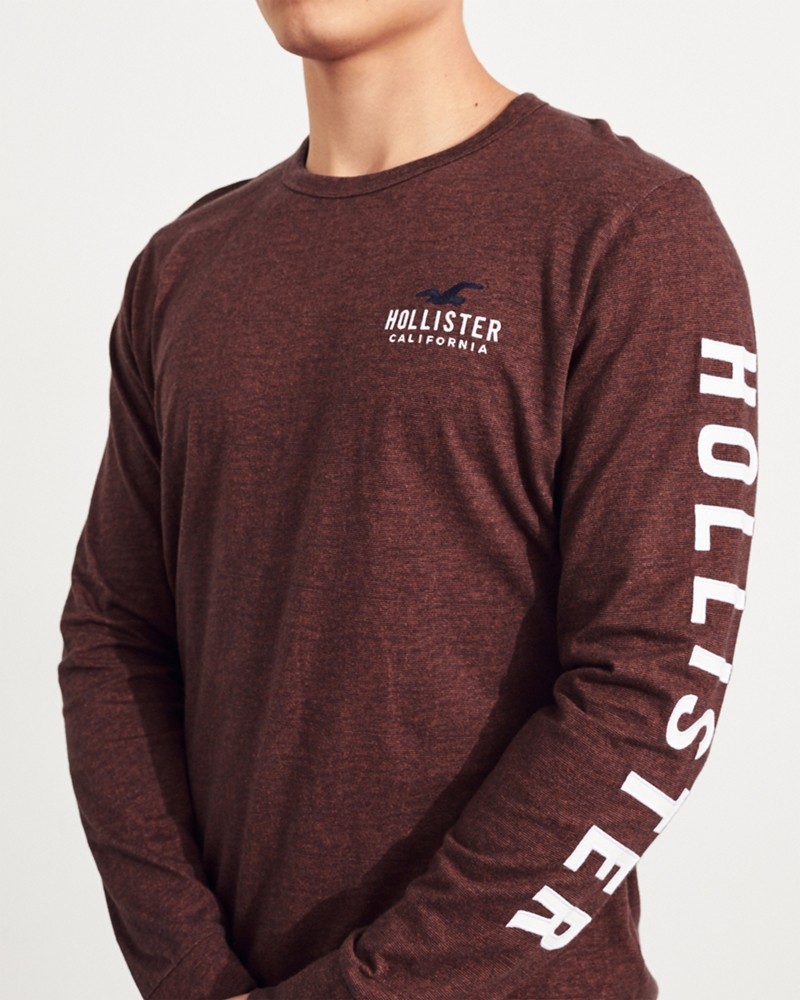 Hình Áo thun nam tay dài Hollister HCO-HL104 Logo Graphic Tee Burgundy