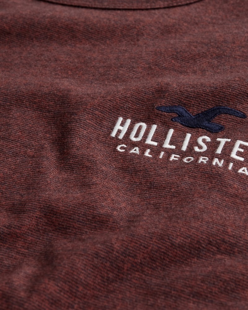 Hình Áo thun nam tay dài Hollister HCO-HL104 Logo Graphic Tee Burgundy