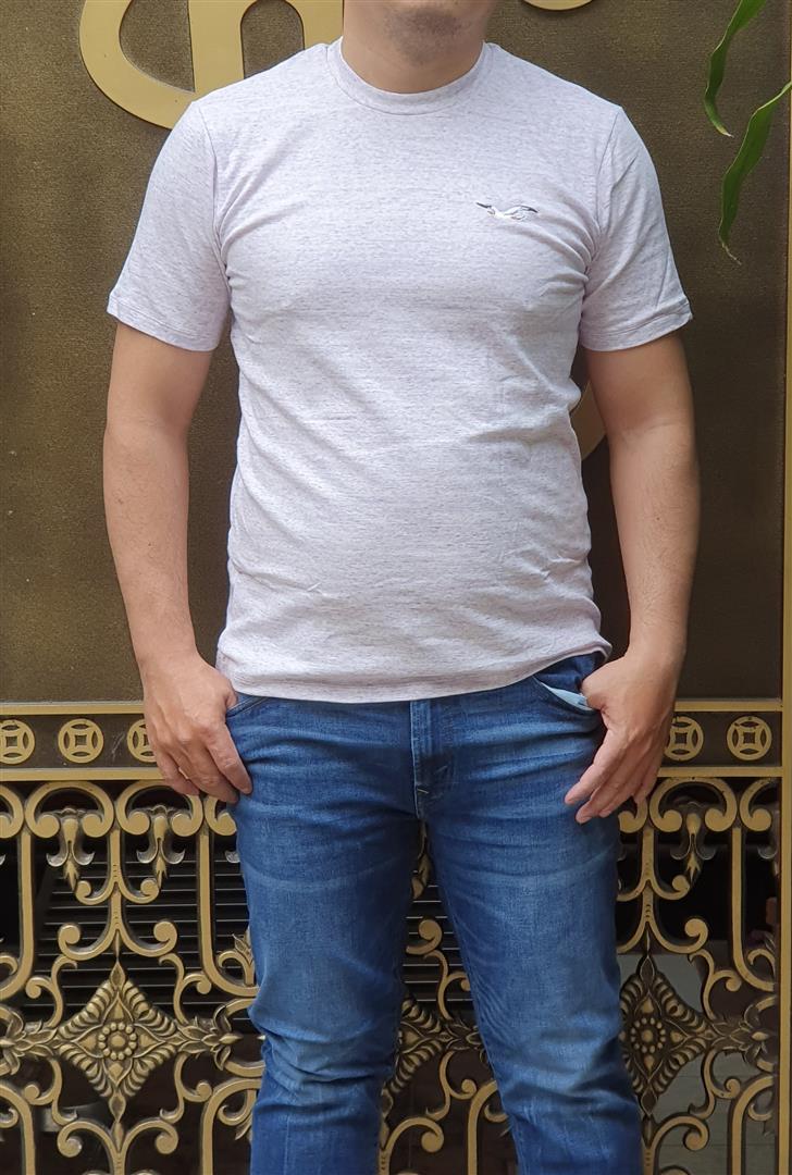 Áo thun nam Hollister HCO-T171 Icon Color Crewneck T-Shirt Tím trắng