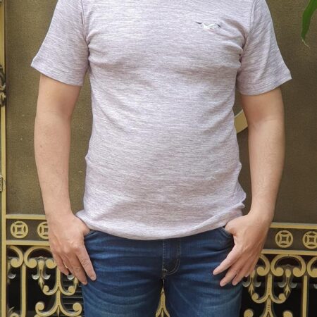 Áo thun nam Hollister HCO-T176 Icon Color Crewneck T-Shirt