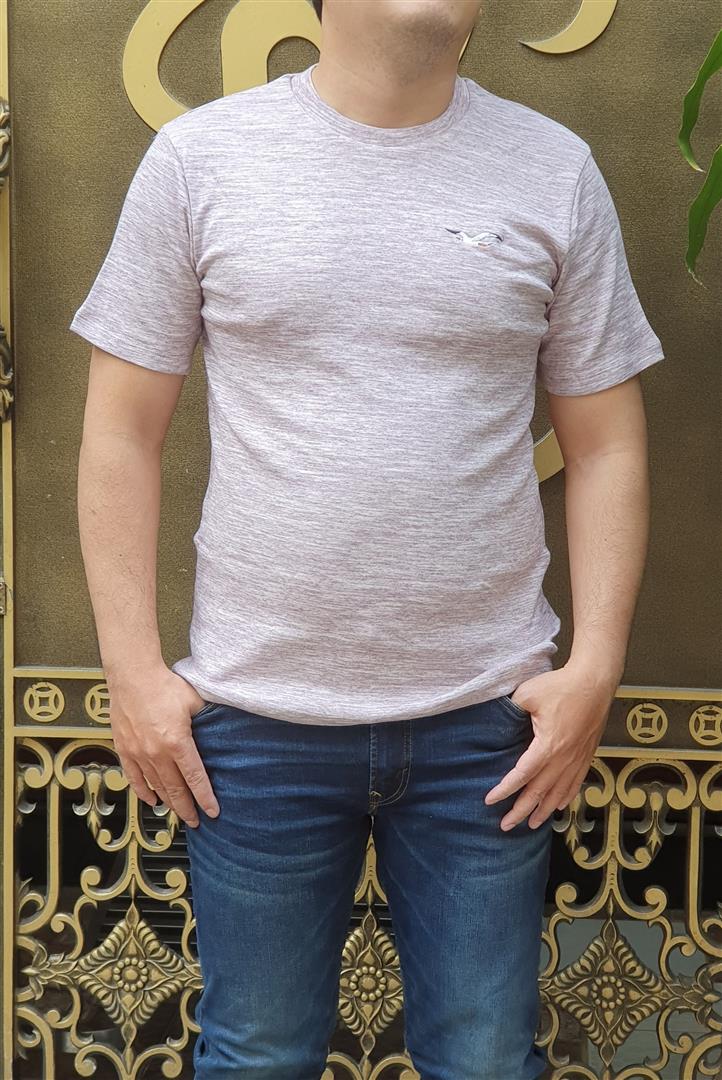 Áo thun nam Hollister HCO-T176 Icon Color Crewneck T-Shirt