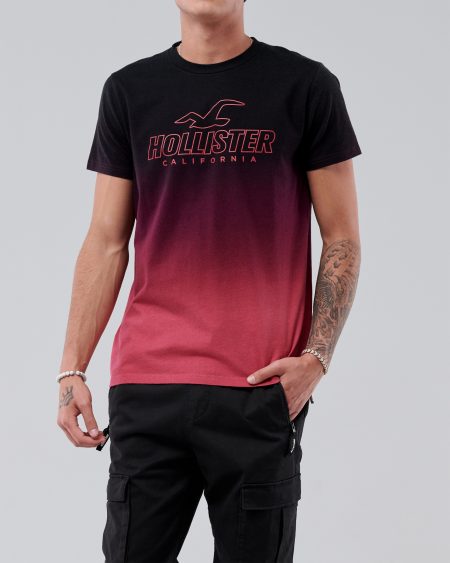 Áo thun nam Hollister HCO-T192 Logo Print Crewneck T-Shirt Ombre - Ảnh 4