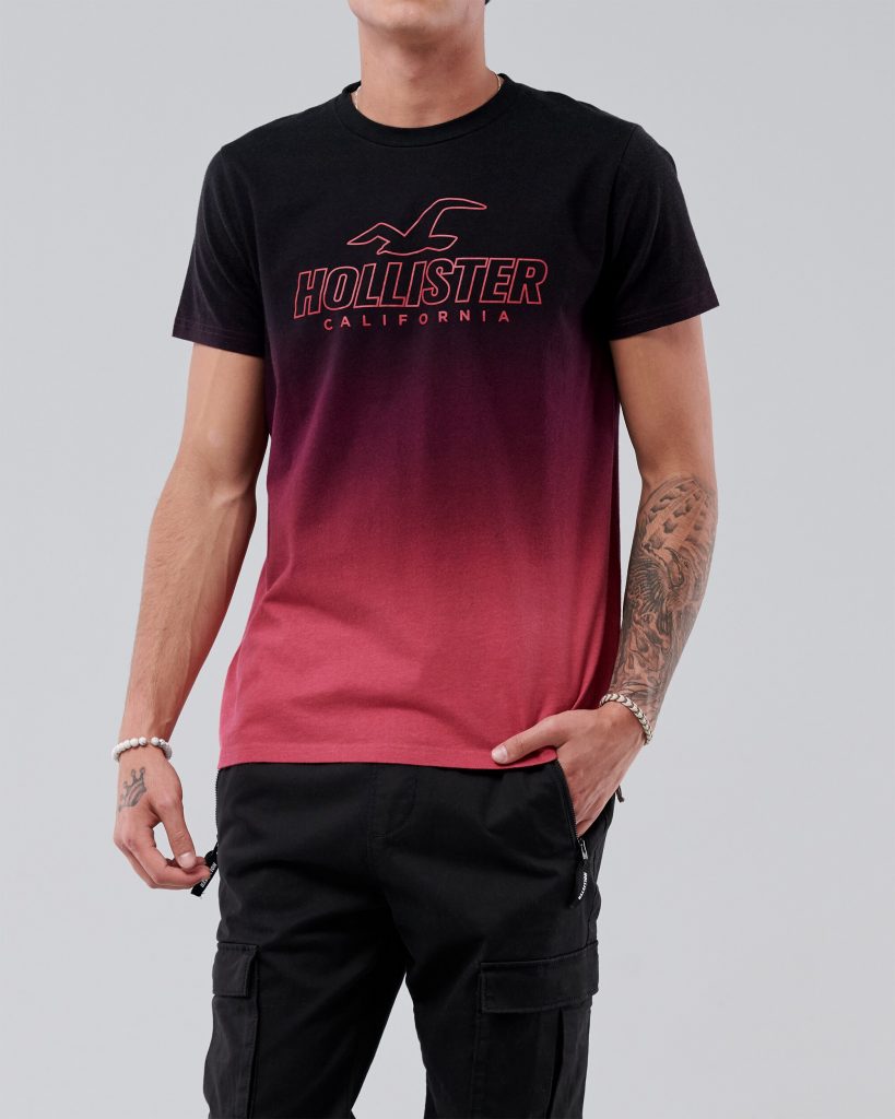 Áo thun nam Hollister HCO-T192 Logo Print Crewneck T-Shirt Ombre