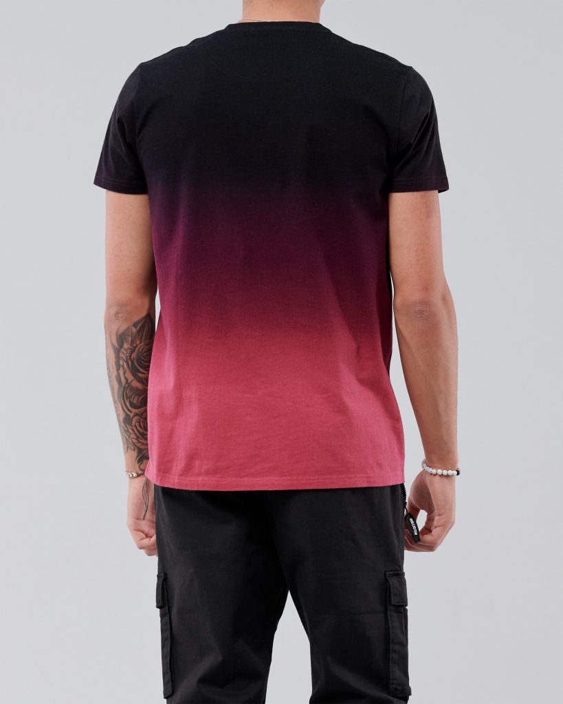 Áo thun nam Hollister HCO-T192 Logo Print Crewneck T-Shirt Ombre