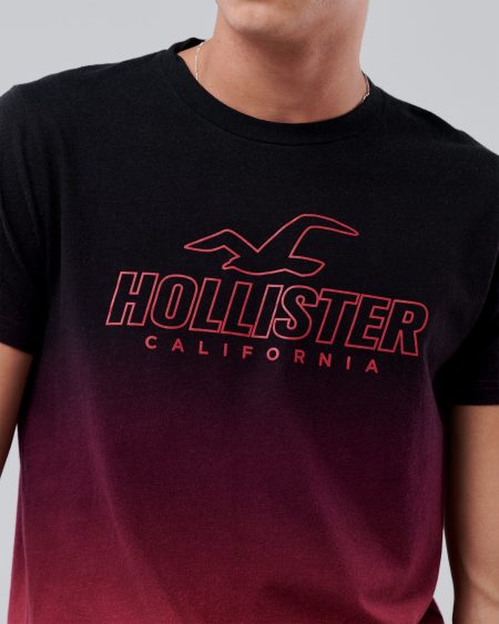 Áo thun nam Hollister HCO-T192 Logo Print Crewneck T-Shirt Ombre - Ảnh 2
