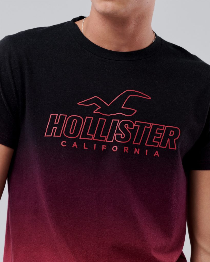 Áo thun nam Hollister HCO-T192 Logo Print Crewneck T-Shirt Ombre