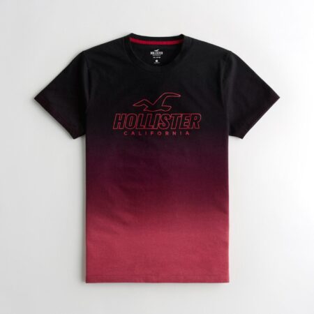 Áo thun nam Hollister HCO-T192 Logo Print Crewneck T-Shirt Ombre
