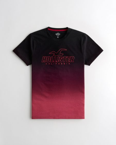 Áo thun nam Hollister HCO-T192 Logo Print Crewneck T-Shirt Ombre