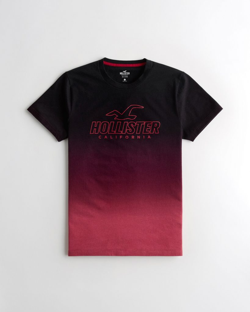 Áo thun nam Hollister HCO-T192 Logo Print Crewneck T-Shirt Ombre