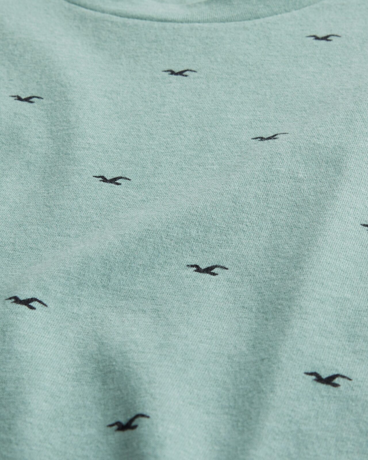 Áo thun nam Hollister HCO-T194 Logo Print Tee light green - Ảnh 2