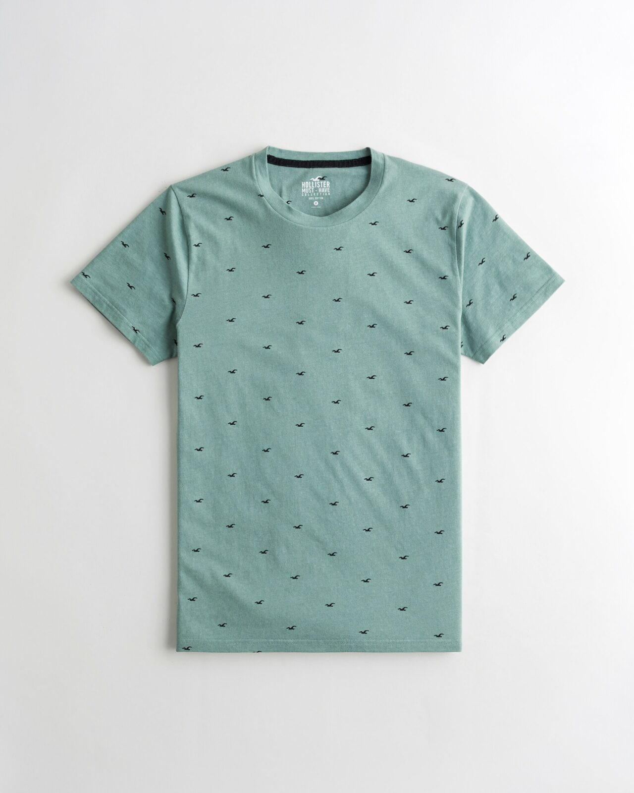 Áo thun nam Hollister HCO-T194 Logo Print Tee light green