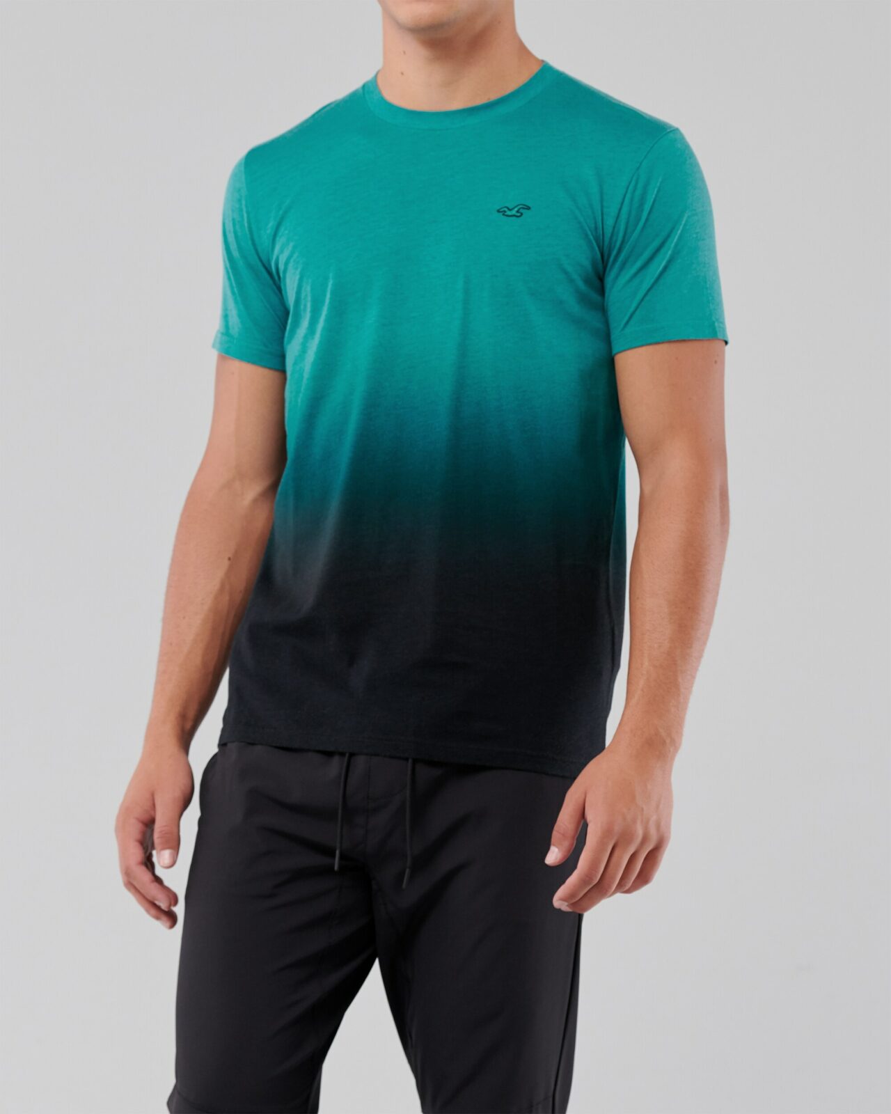 Áo thun nam Hollister HCO-T206 Crewneck T-Shirt Green Black Ombre - Ảnh 4