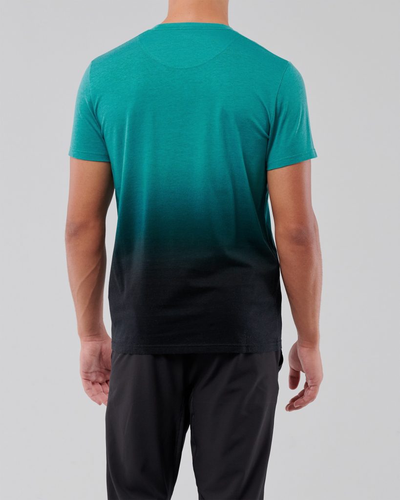 Áo thun nam Hollister HCO-T206 Crewneck T-Shirt Green Black Ombre