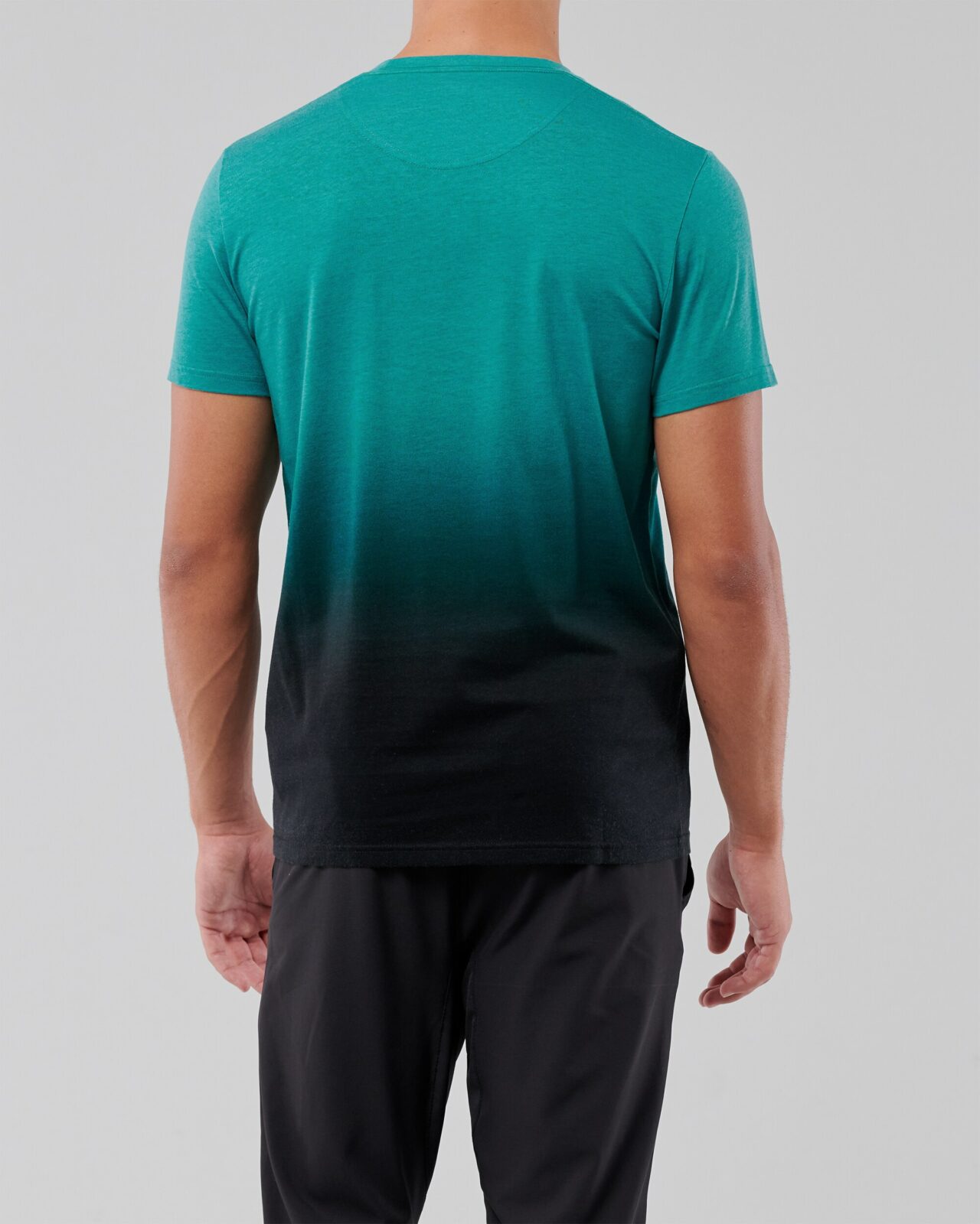 Áo thun nam Hollister HCO-T206 Crewneck T-Shirt Green Black Ombre - Ảnh 3