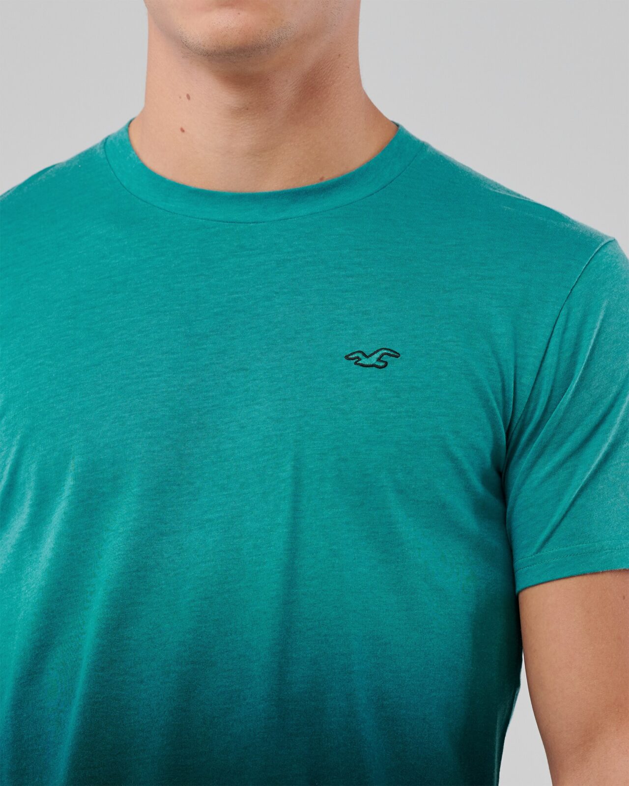 Áo thun nam Hollister HCO-T206 Crewneck T-Shirt Green Black Ombre - Ảnh 2