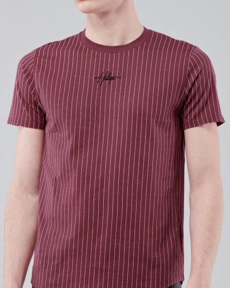 Áo thun nam Hollister HCO-T209 Striped Red Curved Hem T-Shirt - Ảnh 2