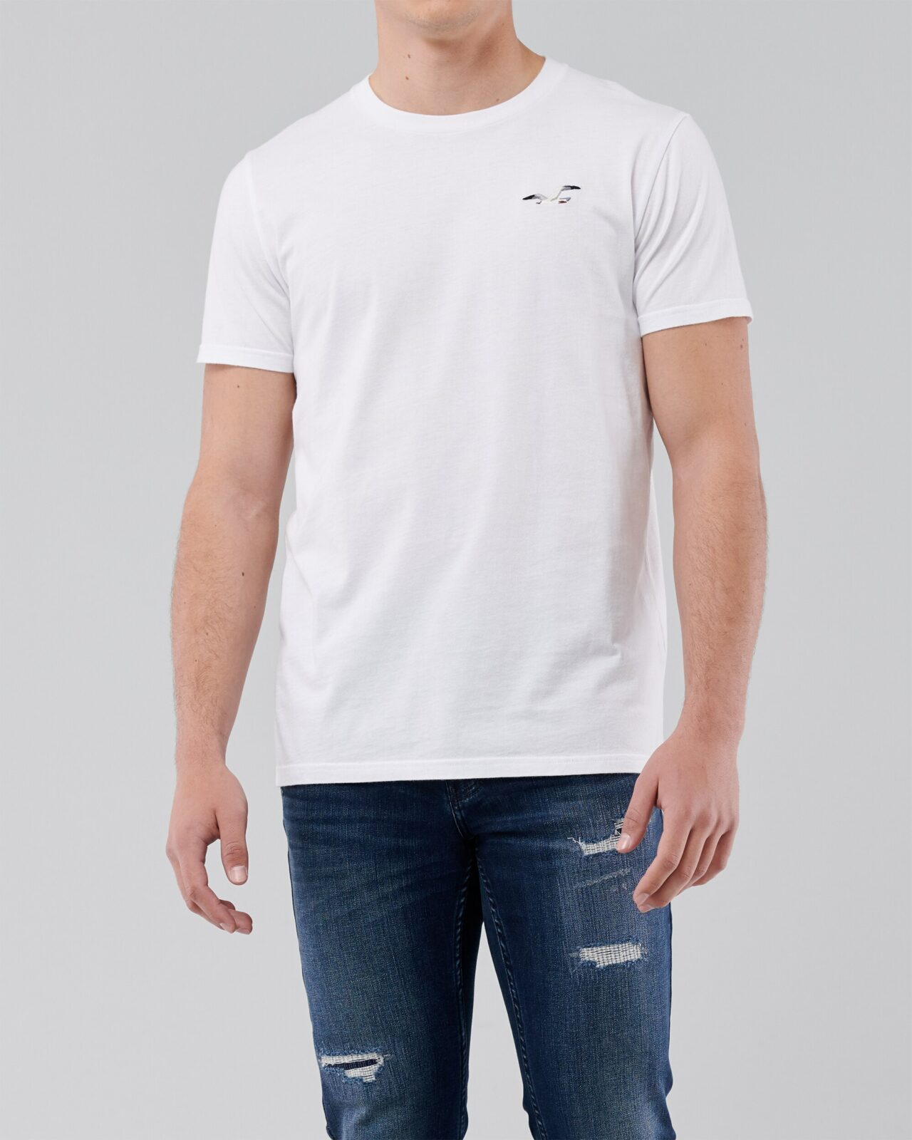 Áo thun nam Hollister HCO-T246 Color Icon Crew-neck T-shirt White - Ảnh 4